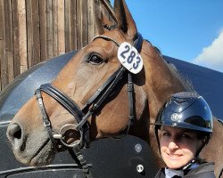 broodmare Donna Donella (Westphalian, 2012, from Don Juan de Hus)