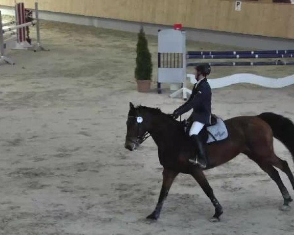 Hallenturnier Illertissen 2015