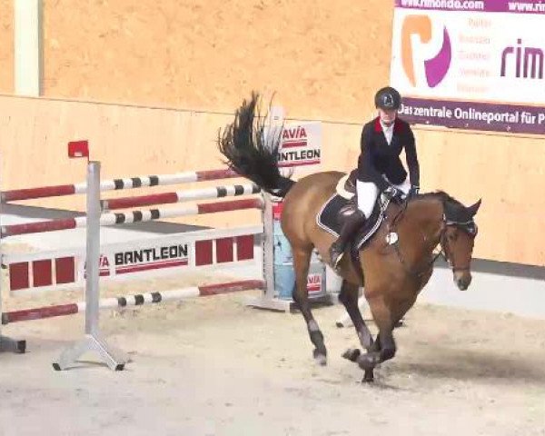 Hallenturnier Illertissen 2015
