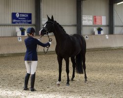 dressage horse For You (Hanoverian, 2017, from Feuertanz)