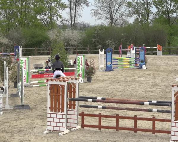 Rideturnering Pöttmes - Gut Sedlbrunn/Schw. 2026