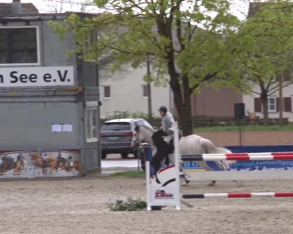 Reitturnier Rot am See- Musdorf 2026