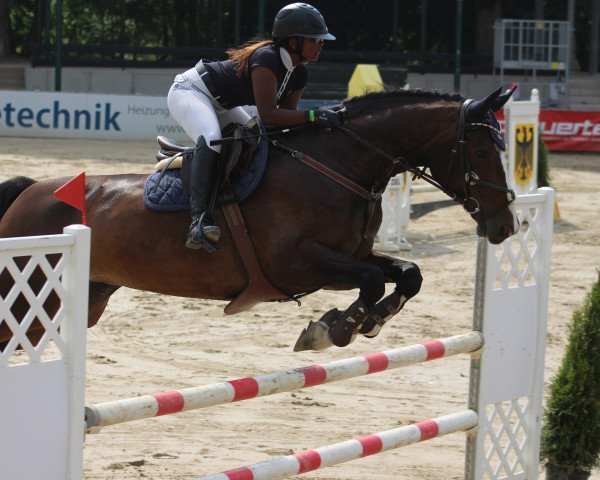 jumper Contiguana NT (Holsteiner, 2008, from Concreto 174 FIN)
