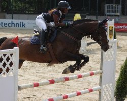 jumper Contiguana NT (Holsteiner, 2008, from Concreto 174 FIN)
