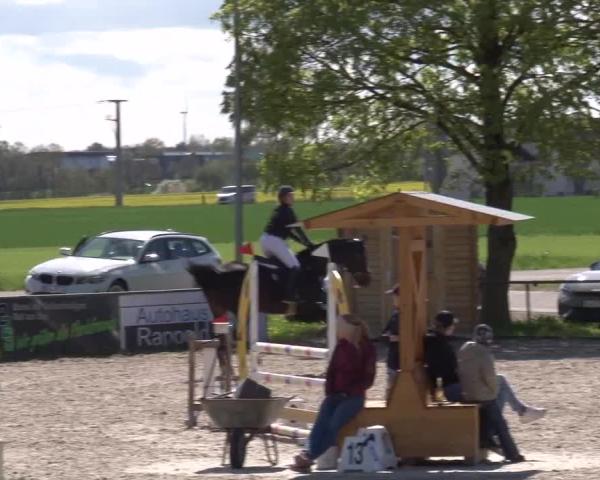 Reitturnier Rot am See- Musdorf 2026