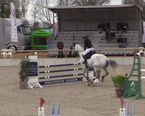 Reitturnier Reher -Ahlmann Masters- 2026