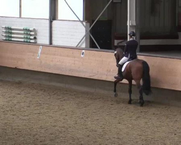 Hallen-Reit- und Springturnier 2015 beim RV Alt Marl