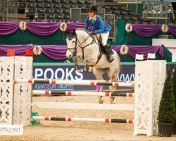 jumper Calotta (German Sport Horse, 2008, from Calido I)