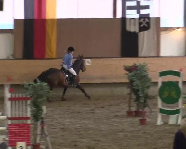 Hallen-Reit- und Springturnier 2015 beim RV Alt Marl