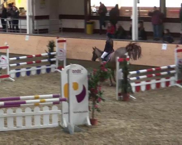 Hallen-Reit- und Springturnier 2015 beim RV Alt Marl
