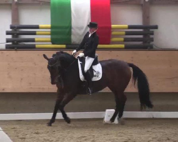 Hallen-Reit- und Springturnier 2015 beim RV Alt Marl