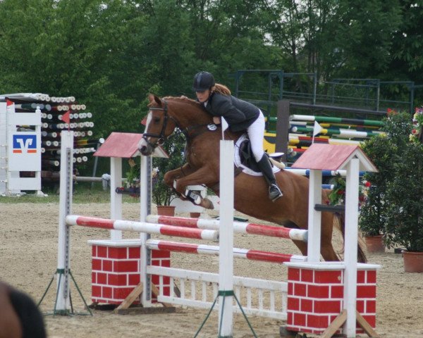 broodmare No Leonie (German Riding Pony, 1995, from Leonardo)