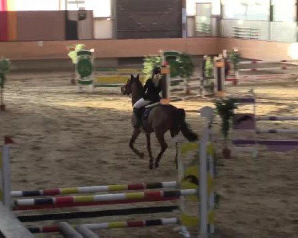 Hallen-Reit- und Springturnier 2015 beim RV Alt Marl