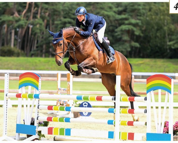 jumper Cafe's Dakota (Oldenburg show jumper, 2015, from Cafe au lait 2)