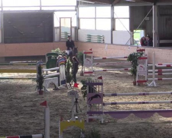 Hallen-Reit- und Springturnier 2015 beim RV Alt Marl