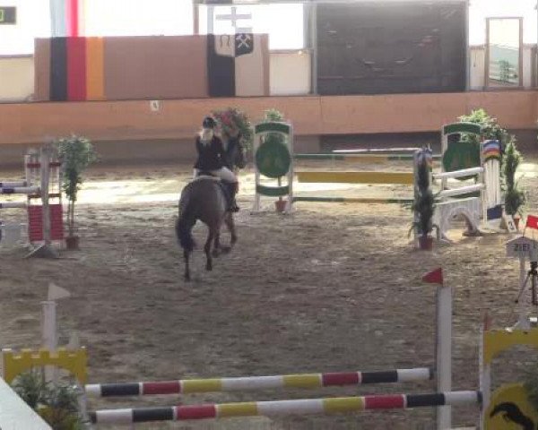 Hallen-Reit- und Springturnier 2015 beim RV Alt Marl