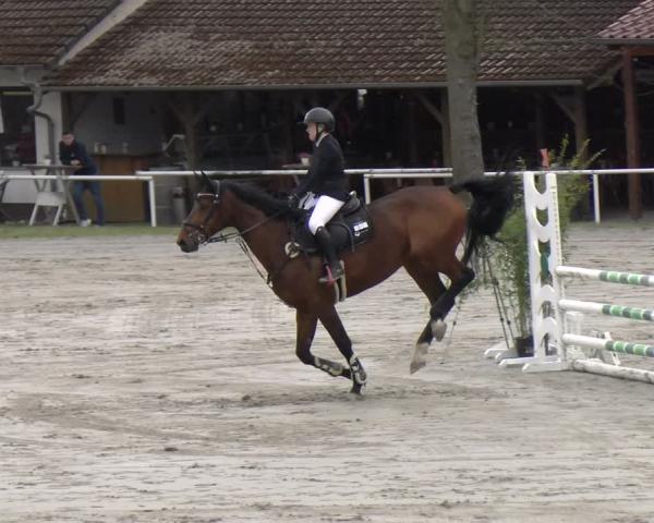 Torneo Equestre Richelsdorf 2026