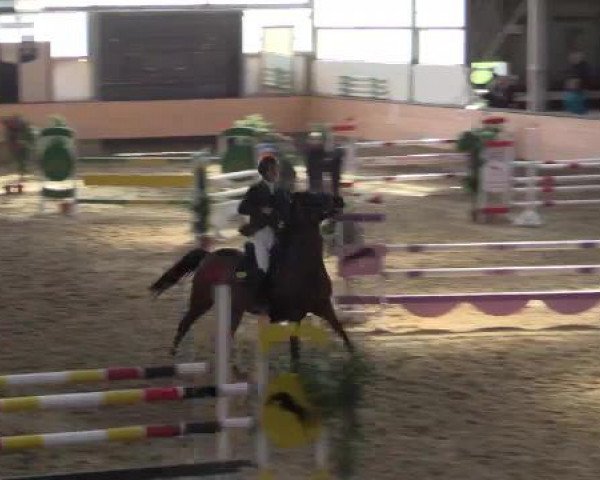 Hallen-Reit- und Springturnier 2015 beim RV Alt Marl