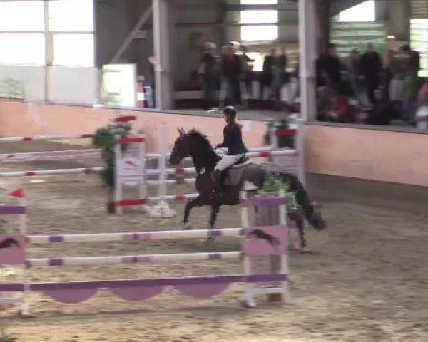 Hallen-Reit- und Springturnier 2015 beim RV Alt Marl