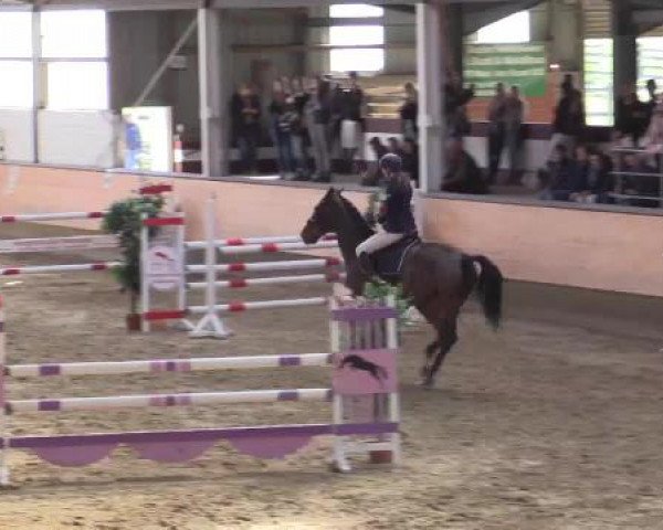 Hallen-Reit- und Springturnier 2015 beim RV Alt Marl