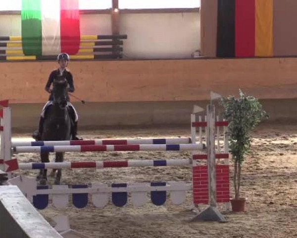 Hallen-Reit- und Springturnier 2015 beim RV Alt Marl