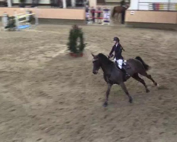 Hallen-Reit- und Springturnier 2015 beim RV Alt Marl