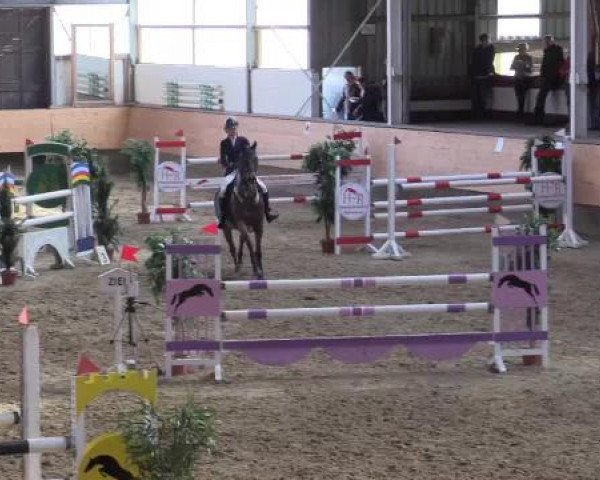 Hallen-Reit- und Springturnier 2015 beim RV Alt Marl