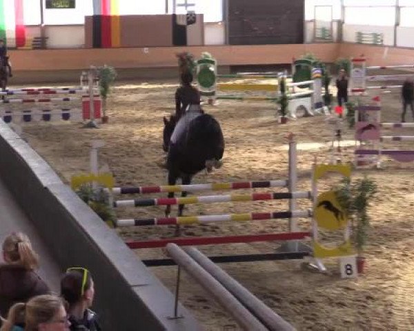 Hallen-Reit- und Springturnier 2015 beim RV Alt Marl