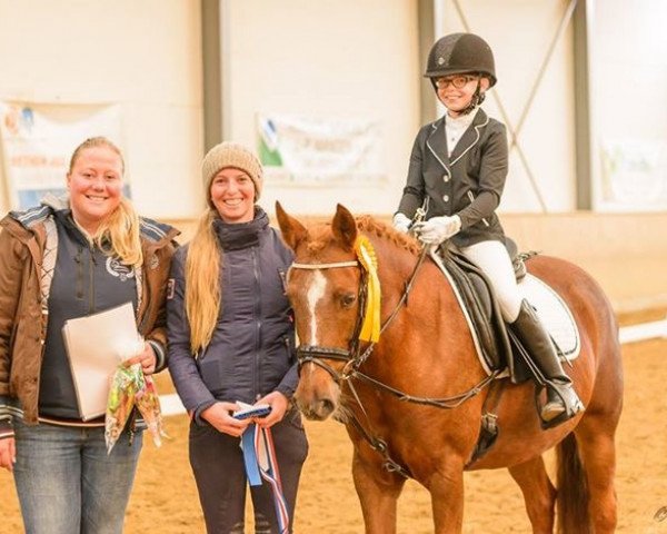 dressage horse Luna R (Sachs-door. Heavy Warmbl., 2008, from Lars)
