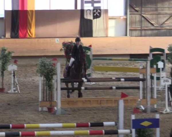 Hallen-Reit- und Springturnier 2015 beim RV Alt Marl