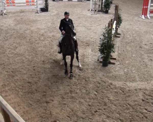Hallenspringturnier Heidelberg-Kirchheim 2015