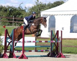 jumper Liebeskind (Holsteiner, 2015, from Lux Z)