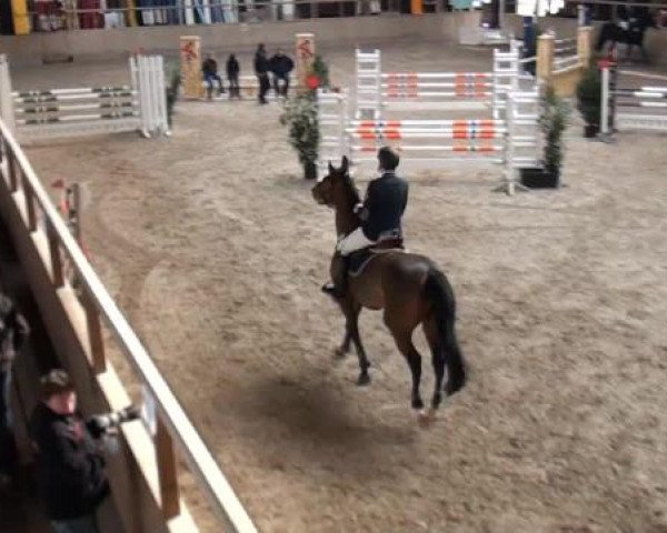 Hallenspringturnier Heidelberg-Kirchheim 2015