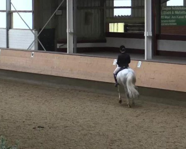 Hallen-Reit- und Springturnier 2015 beim RV Alt Marl