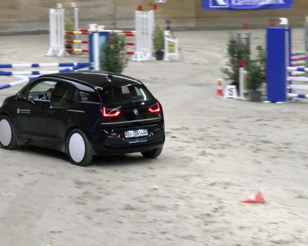 Reitturnier Rüti 2021