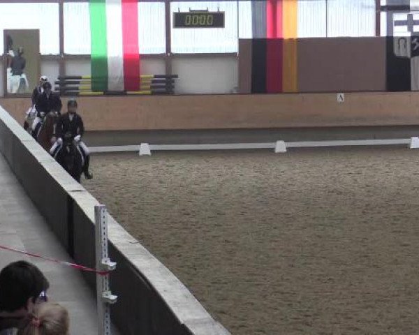 Hallen-Reit- und Springturnier 2015 beim RV Alt Marl