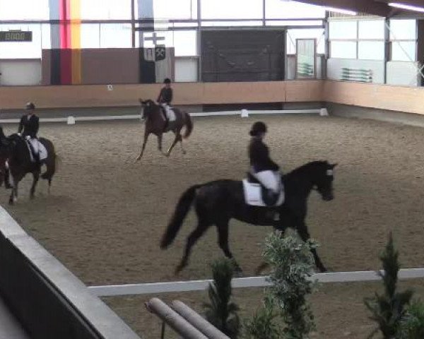 Hallen-Reit- und Springturnier 2015 beim RV Alt Marl