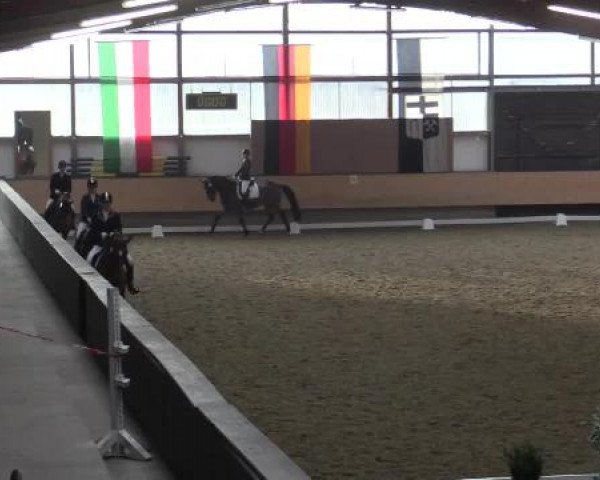 Hallen-Reit- und Springturnier 2015 beim RV Alt Marl