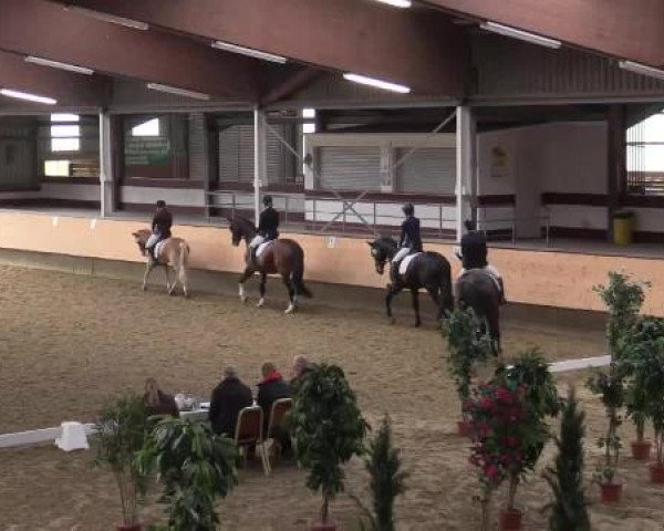 Hallen-Reit- und Springturnier 2015 beim RV Alt Marl