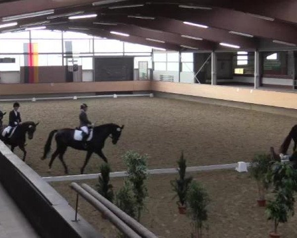 Hallen-Reit- und Springturnier 2015 beim RV Alt Marl