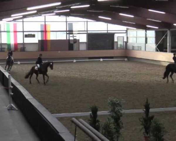 Hallen-Reit- und Springturnier 2015 beim RV Alt Marl