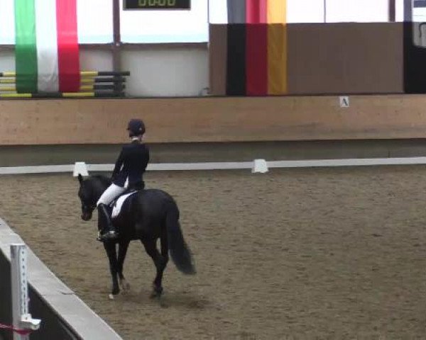 Hallen-Reit- und Springturnier 2015 beim RV Alt Marl