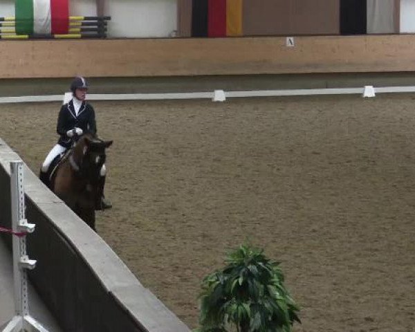 Hallen-Reit- und Springturnier 2015 beim RV Alt Marl