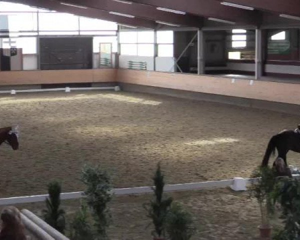 Hallen-Reit- und Springturnier 2015 beim RV Alt Marl