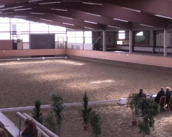 Hallen-Reit- und Springturnier 2015 beim RV Alt Marl