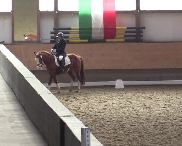 Hallen-Reit- und Springturnier 2015 beim RV Alt Marl