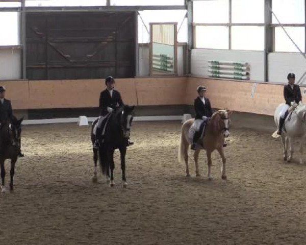 Hallen-Reit- und Springturnier 2015 beim RV Alt Marl
