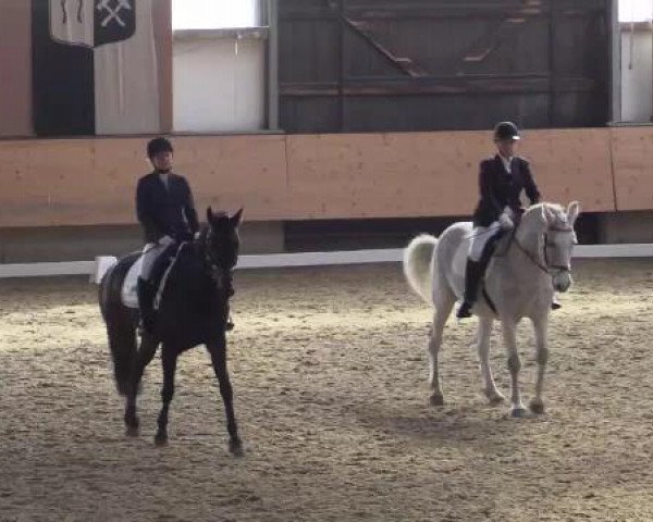 Hallen-Reit- und Springturnier 2015 beim RV Alt Marl