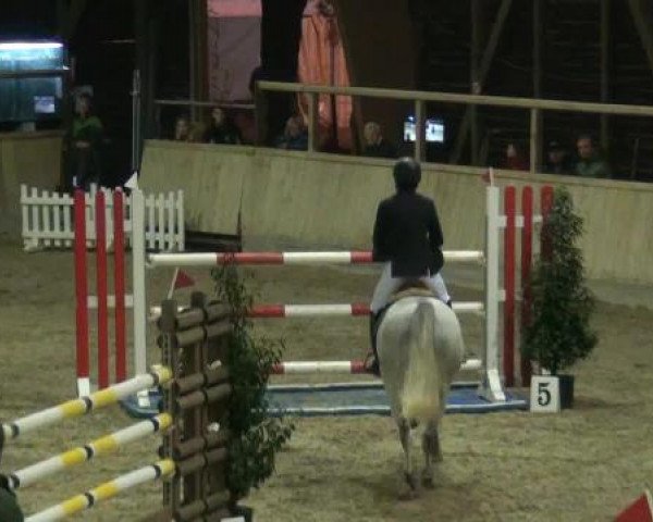 Hallenspringturnier Heidelberg-Kirchheim 2015