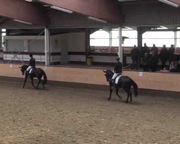 Hallen-Reit- und Springturnier 2015 beim RV Alt Marl